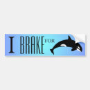 Search for orca bumper stickers Dolphin
