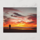 Search for rearing postcards Sunset
