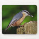 Search for nuthatch mousepads Wildlife