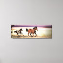 Search for pinto art Stallion