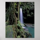 Search for millers posters Foliage