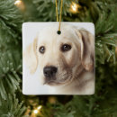Search for labrador retriever christmas tree decorations Puppy