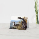 Search for audubon cards Birds of america