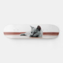 Search for kitten skateboards Pet