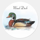 Search for wood duck stickers Wildlife