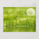 Search for grass seeds postcards Green
