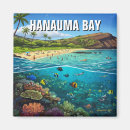 Search for hanauma magnets Nature