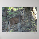 Search for framed posters Trees