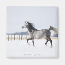 Search for winter white magnets Nature