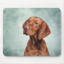 Search for pointer mousepads Funny