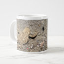 Search for toad mugs Nature
