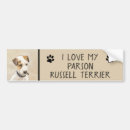 Search for jack russell terrier bumper stickers Dog
