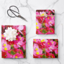 Search for begonia gift wrap Plant