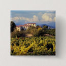 Search for vineyard badges Foliage