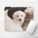 Search for piles mousepads Puppy