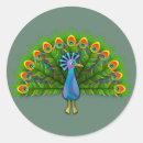 Search for animated stickers Animal