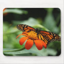 Search for monarch mousepads Butterfly