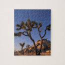 Search for joshua tree puzzles Nature