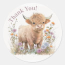 Search for cow stickers First birthday