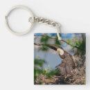Search for bald eagles key rings Raptor