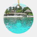 Search for maldives christmas tree decorations Indian ocean