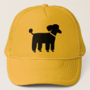 Search for poodle accessories Animals