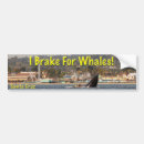 Search for santa bumper stickers Animal