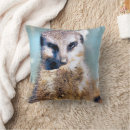 Search for meerkat cushions Mammals