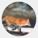 Search for fox in snow stickers Xmas