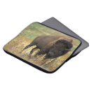 Search for big head electronics Animals