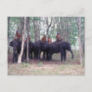 Search for elephant stamp postcards Asian