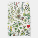 Search for vintage botanical tea towels Plant