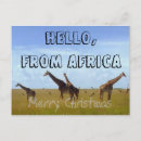 Search for funny giraffe christmas cards Africa