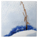 Search for snow drift Nature