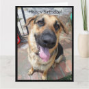 Search for german shepherd Birthday