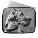 Search for dane electronics Pets