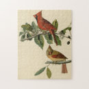 Search for cardinal bird puzzles Audubon