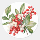 Search for winter berries stickers Holly