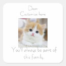 Search for cat in a box stickers For pets