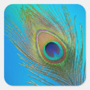 Search for peacock tail stickers Bird