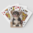 Search for corgi playing cards Funny