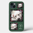 Search for cute shamrock iphone cases Green