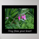 Search for spring flower posters Photography