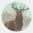 Search for elk stickers Mountains