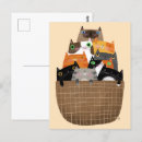 Search for shelter postcards Tabby