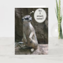 Search for meerkat birthday cards Meercat