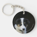 Search for old photograph key rings Collie border
