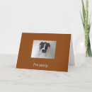 Search for sorry girlfriend cards Apology