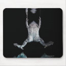 Search for reflection mousepads Animal