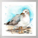 Search for study posters Bird